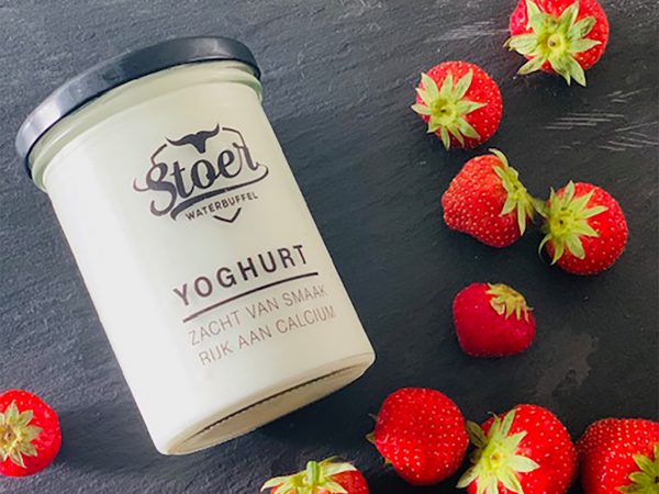 Stoer waterbuffel yoghurt